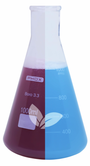 Linha Nev Pan
